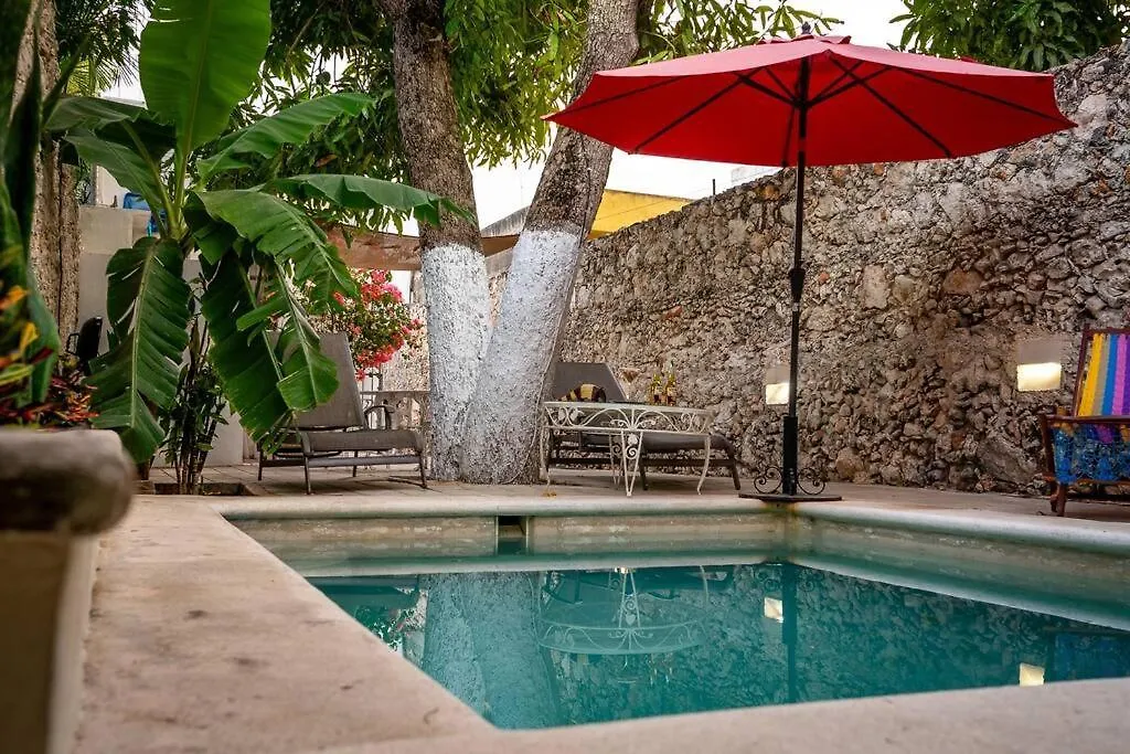 Villa Casa Armadillo, Colonial House With Pool Mérida