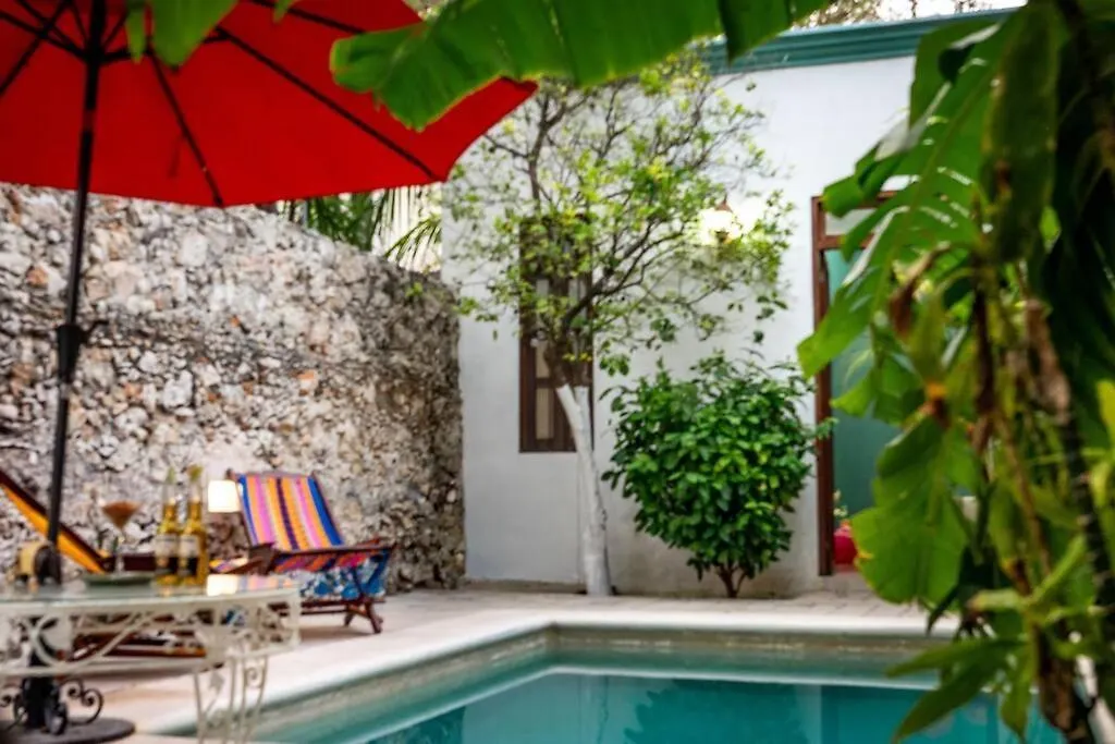 Villa Casa Armadillo, Colonial House With Pool Mérida México